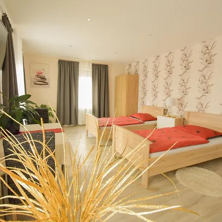 Mainzimmer - Business Apartmán