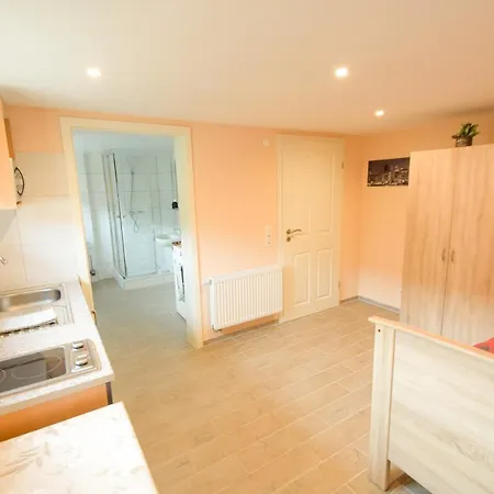 Apartmán Mainzimmer - Business *