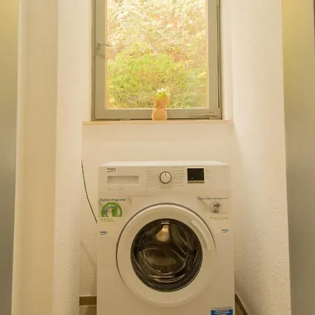 Apartmán Mainzimmer - Business *