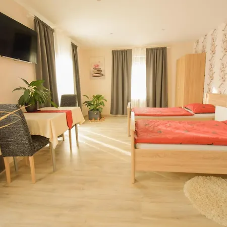 Mainzimmer - Business Apartament